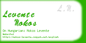 levente mokos business card